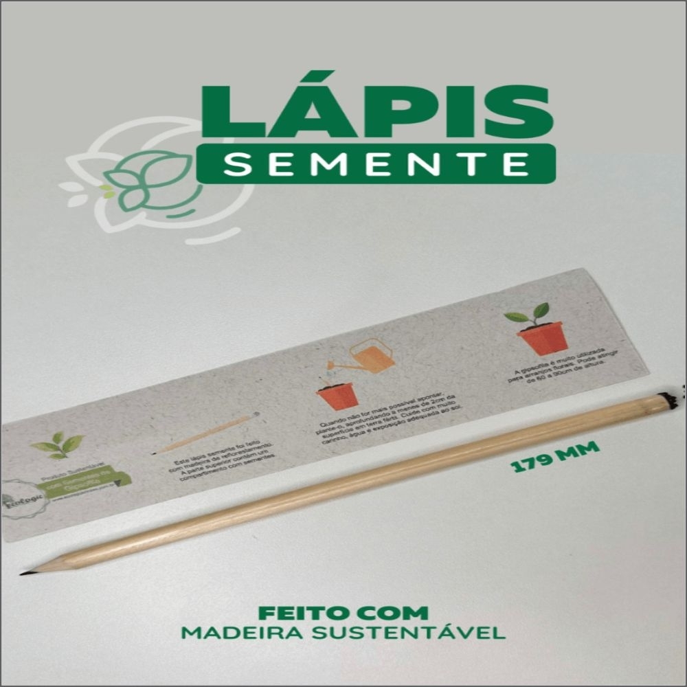 Lápis Semente | Lápis ecológico Produto Sustentável;