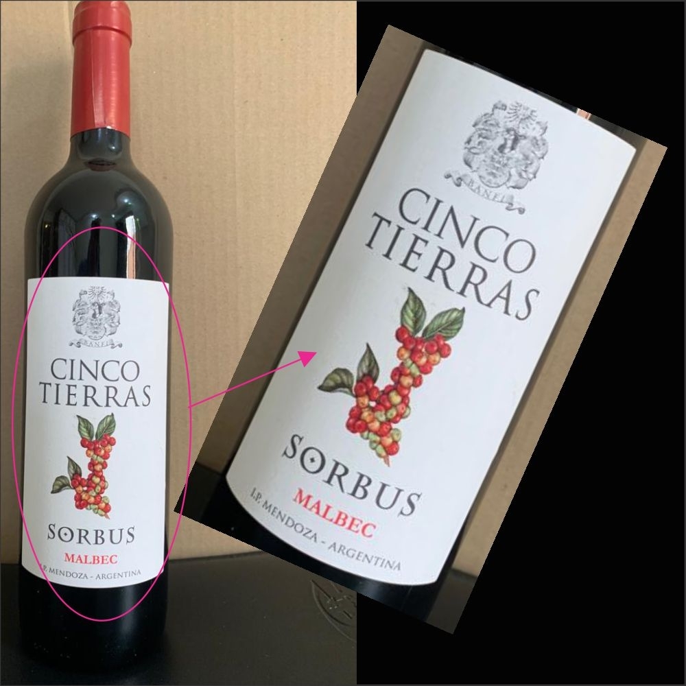 Vinho cinco Tierras Sorbus Malbec-Vinho 1